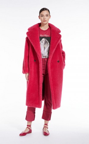 RASPBERRY MaxMara Teddy Bear Icon Coats | MMR593892