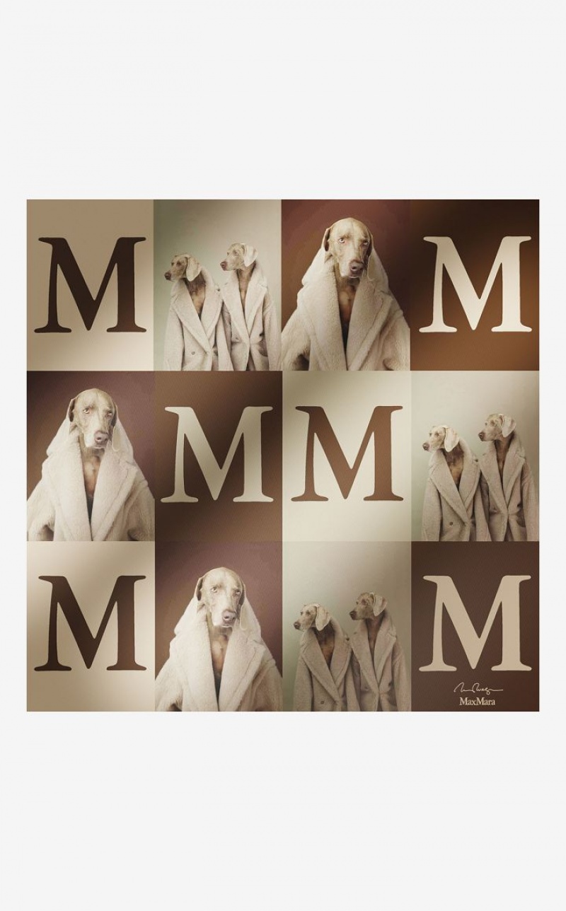 BEIGE MaxMara Printed Silk Scarf Scarves | MMR594282