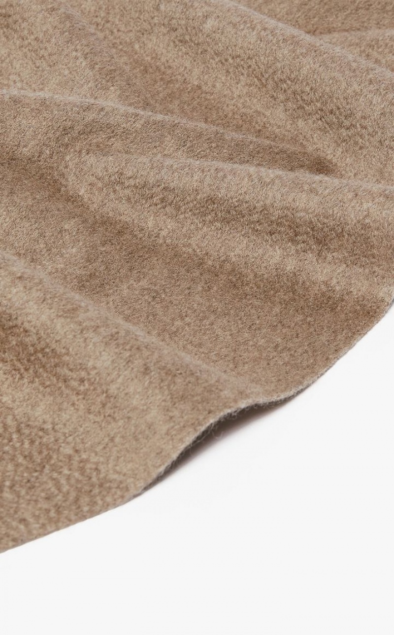 HAZELNUT BROWN MaxMara Cashmere Stole With Embroidery Scarves | MMR594268