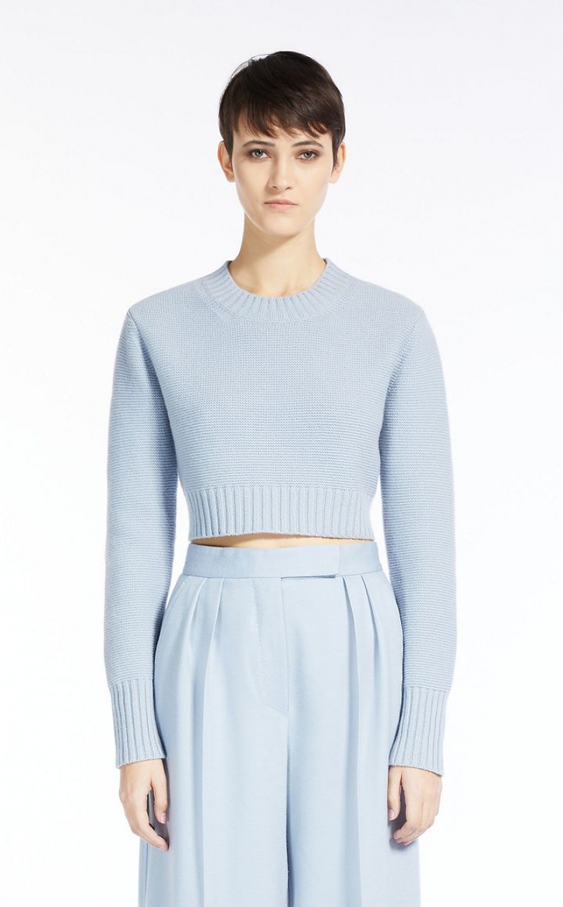 LIGHT BLUE MaxMara Cropped, Cashmere Knitwear | MMR593423