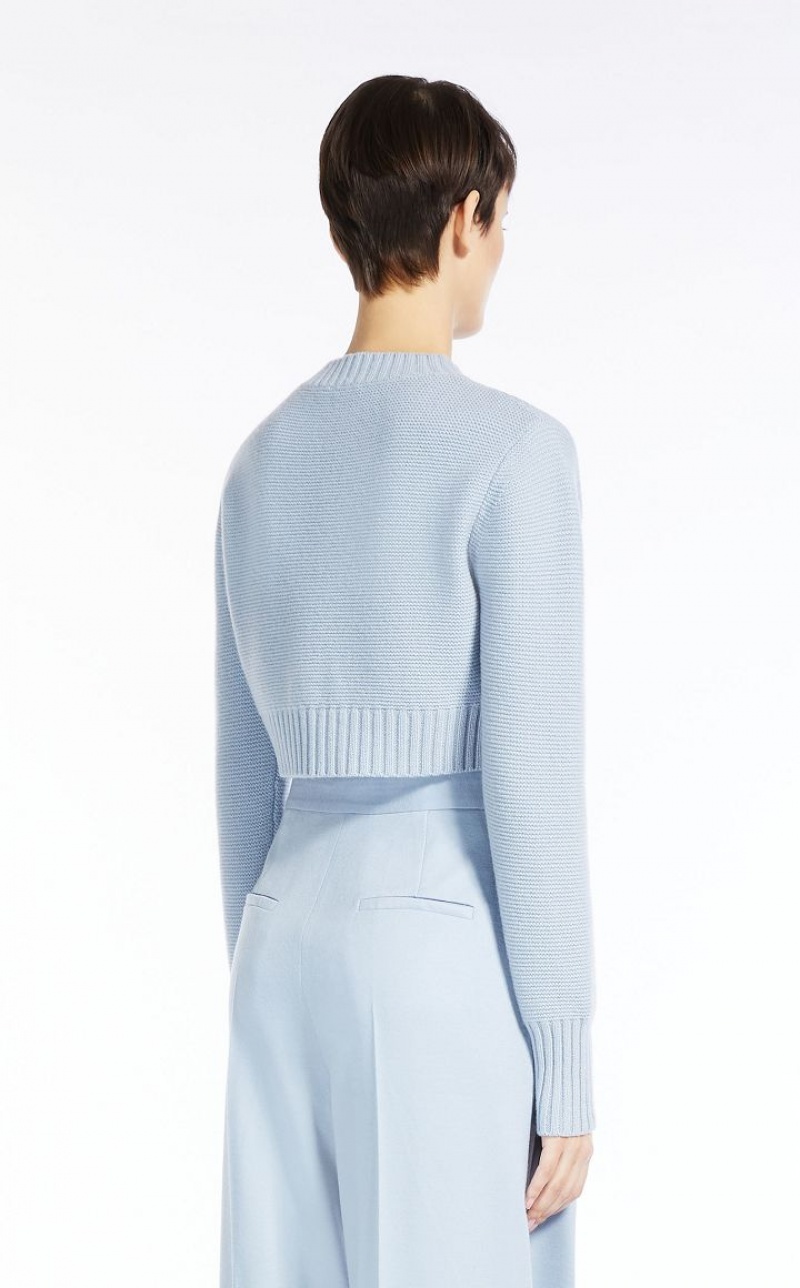 LIGHT BLUE MaxMara Cropped, Cashmere Knitwear | MMR593423