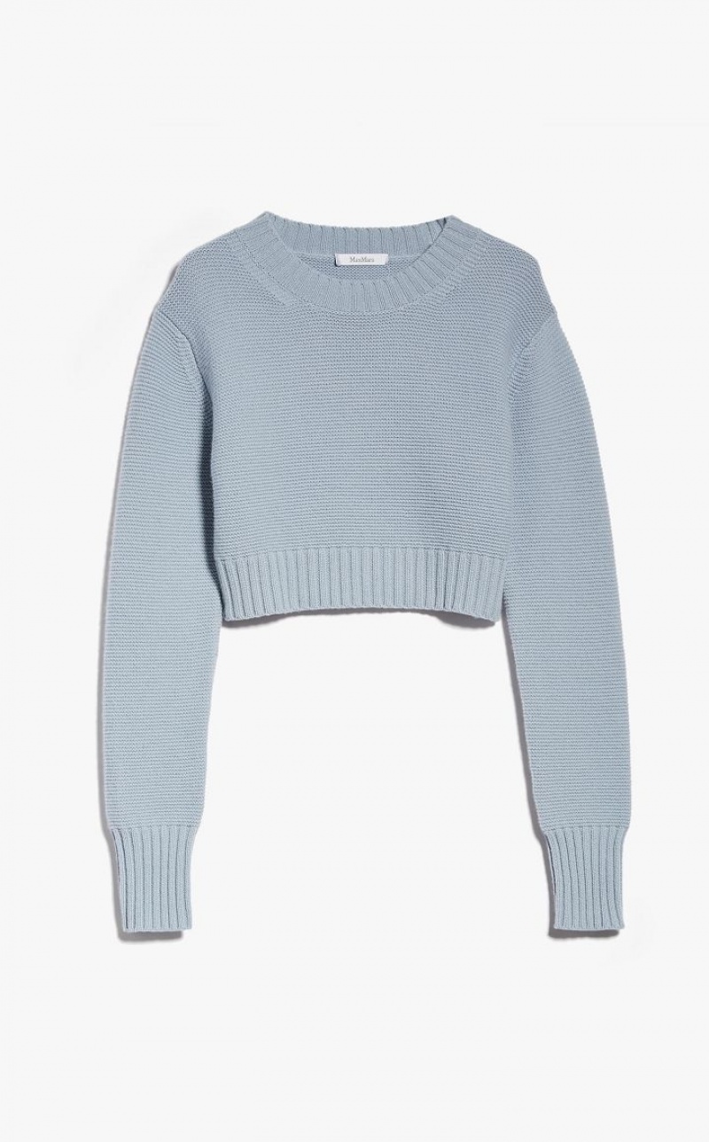 LIGHT BLUE MaxMara Cropped, Cashmere Knitwear | MMR593423