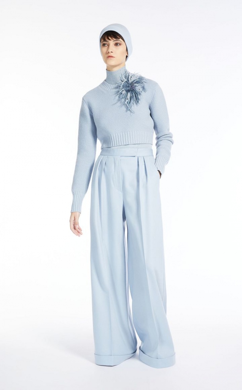 LIGHT BLUE MaxMara Cropped, Cashmere Knitwear | MMR593423