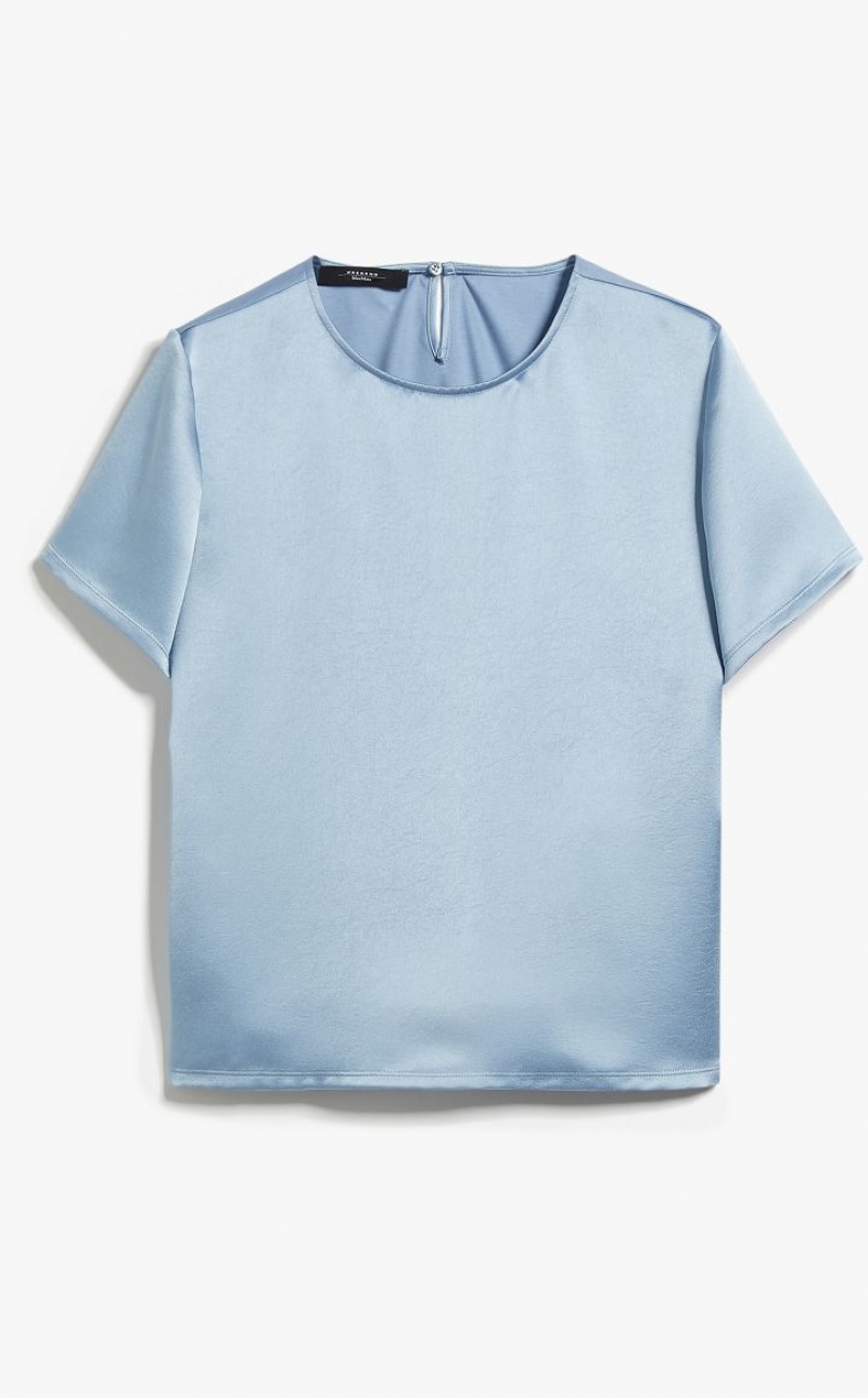 LIGHT BLUE MaxMara Satin And Jersey Tops | MMR593674