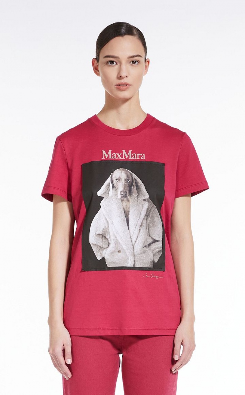 RASPBERRY MaxMara Cotton With Wegman Print T-shirts | MMR593659