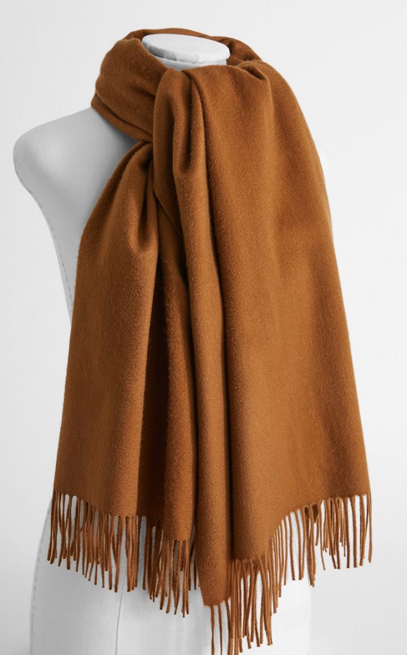 TOBACCO MaxMara Cashmere Stole With Embroidery Scarves | MMR594273