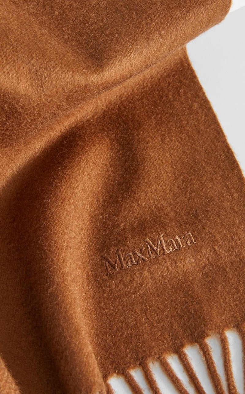 TOBACCO MaxMara Cashmere Stole With Embroidery Scarves | MMR594273