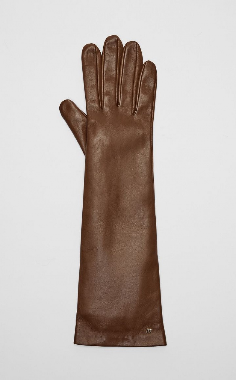 TOBACCO MaxMara Nappa Leather Gloves | MMR594240