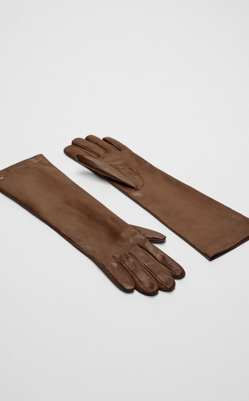 TOBACCO MaxMara Nappa Leather Gloves | MMR594240