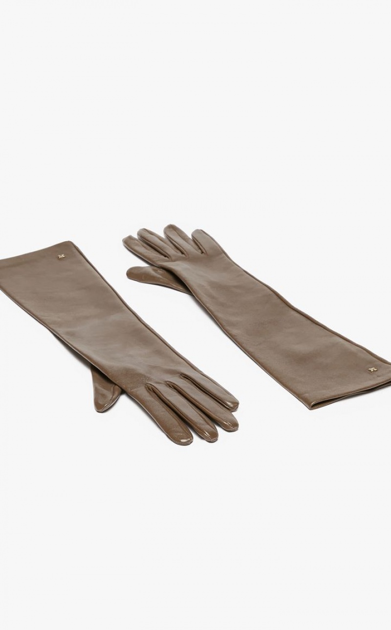 TURTLEDOVE MaxMara Nappa Leather Gloves | MMR594231